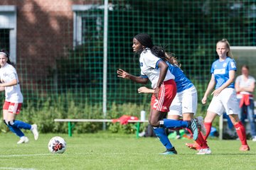 Bild 244 - wBJ Hamburger SV - Holstein Kiel : Ergebnis: 2:0